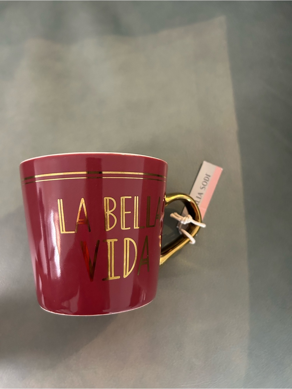Thalia Sodi Maroon Ceramic Mug with Gold Handle